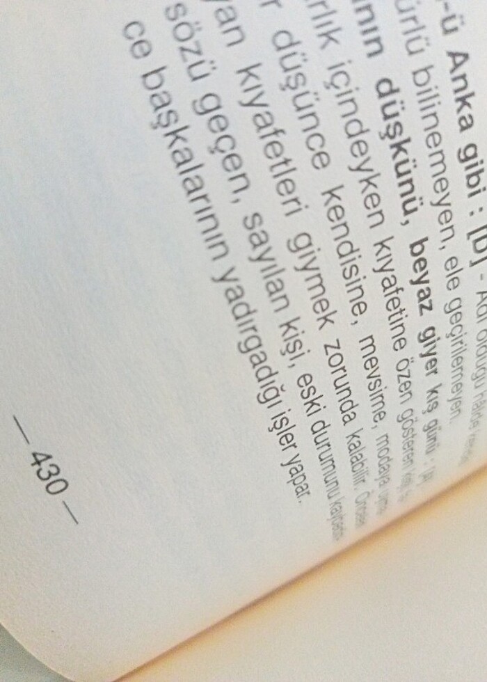 Ata sözleri ve Deyimler sözlüğü - Görsel 2