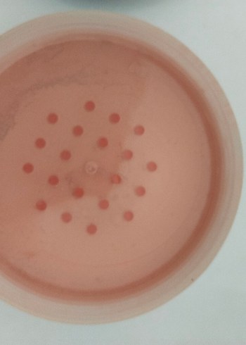 Flormar Loose Blush-On Allık Pudrası - Görsel 8