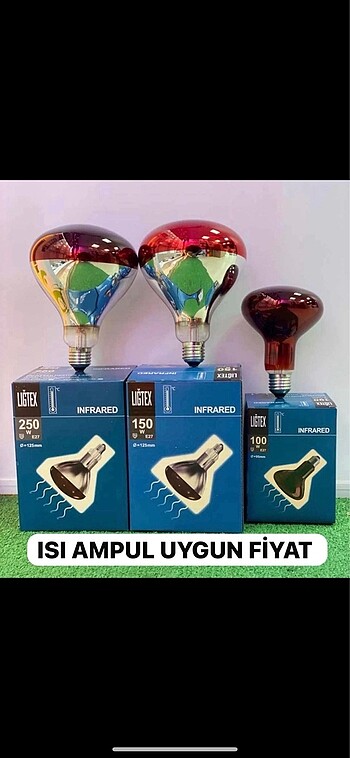 Isı ampulü