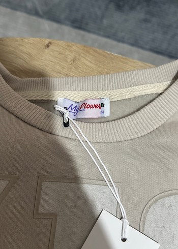 Gri Kısa Kesim Kadın Sweatshirt - Görsel 4