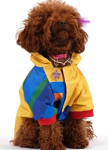 Köpek Yağmurluk 