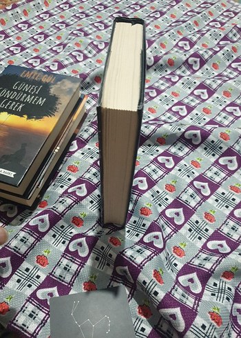 Beden Orion - Almina Taner Kitap