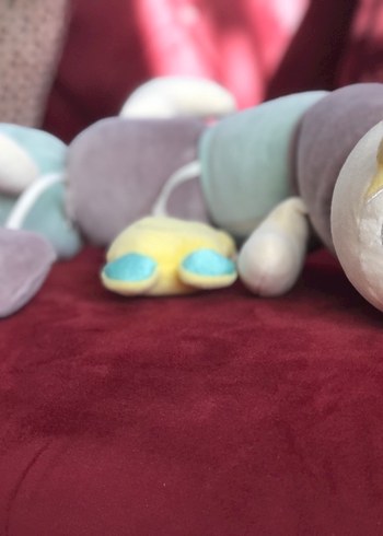 Pastel Renkli Çoklu Peluş Oyuncak Seti
Bir kaç kez oynadı sadece - Görsel 2