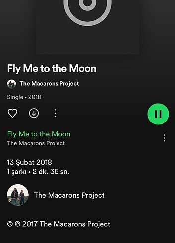 Diğer Spotify barkodlu kolye