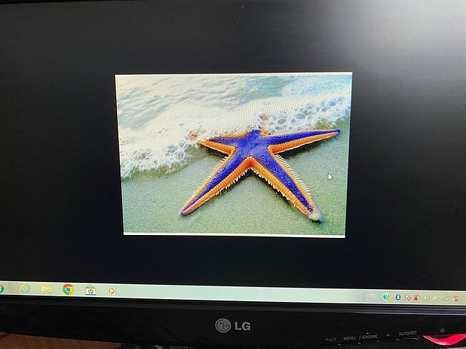 Lg w1943 Monitör 18,5 inç - Görsel 6