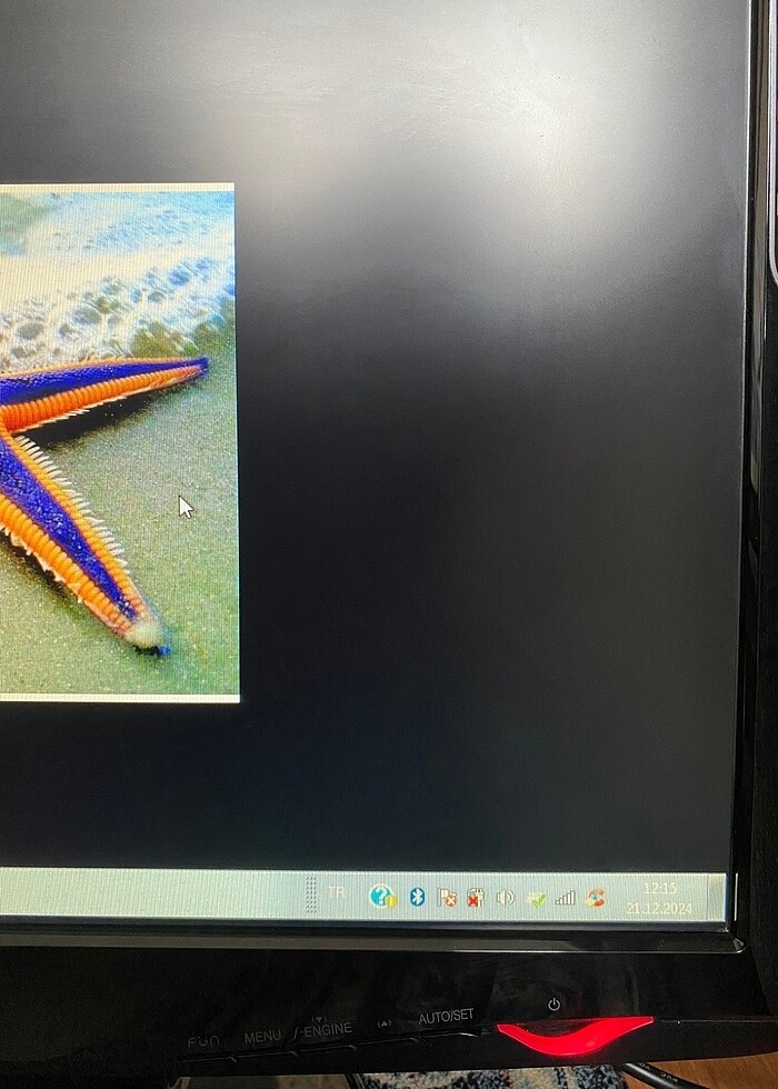 Lg w1943 Monitör 18,5 inç - Görsel 3