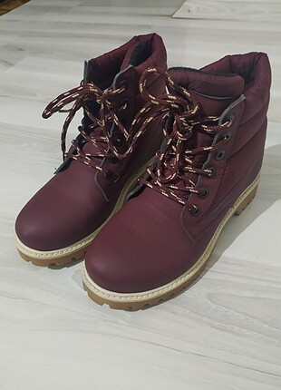 Bordo bot