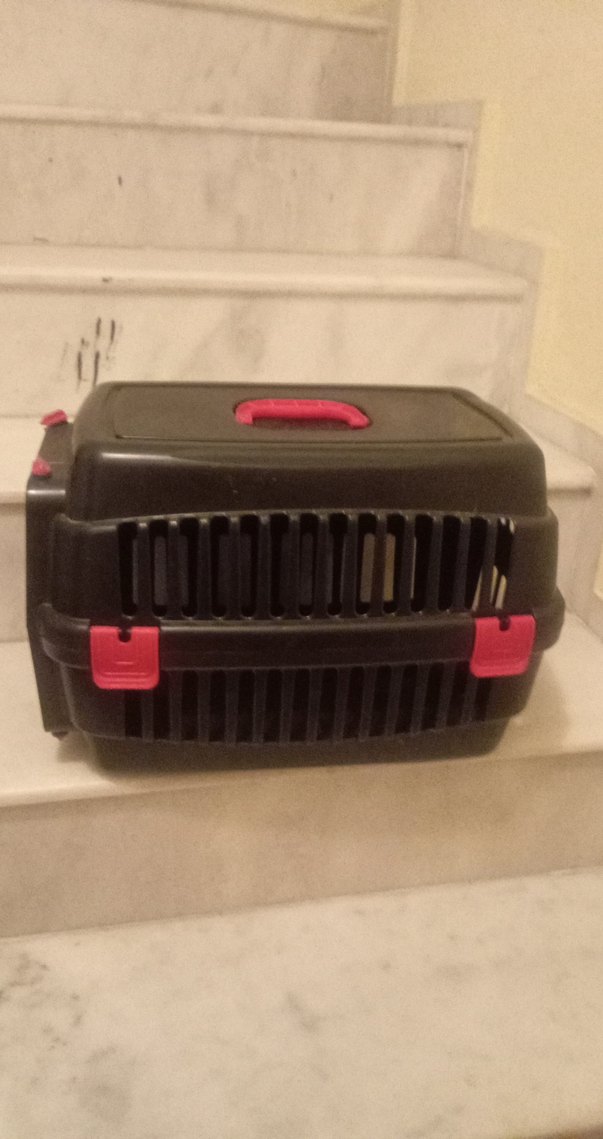 Siyah Taşıma Kabı Kedi ve Küçük Hayvanlar İçin - Görsel 2