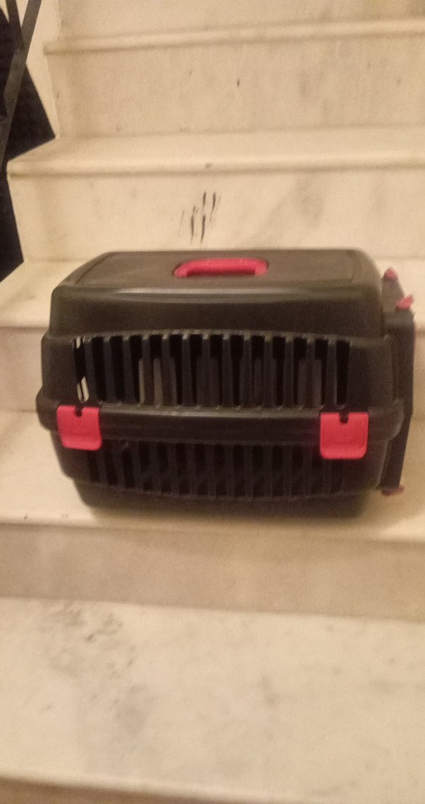 Siyah Taşıma Kabı Kedi ve Küçük Hayvanlar İçin - Görsel 4