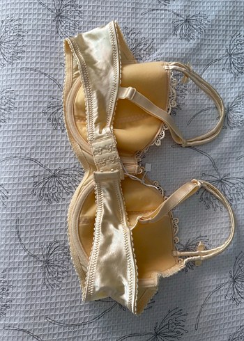 Nakış Detaylı setenBej Vintage Sütyen - Görsel 2