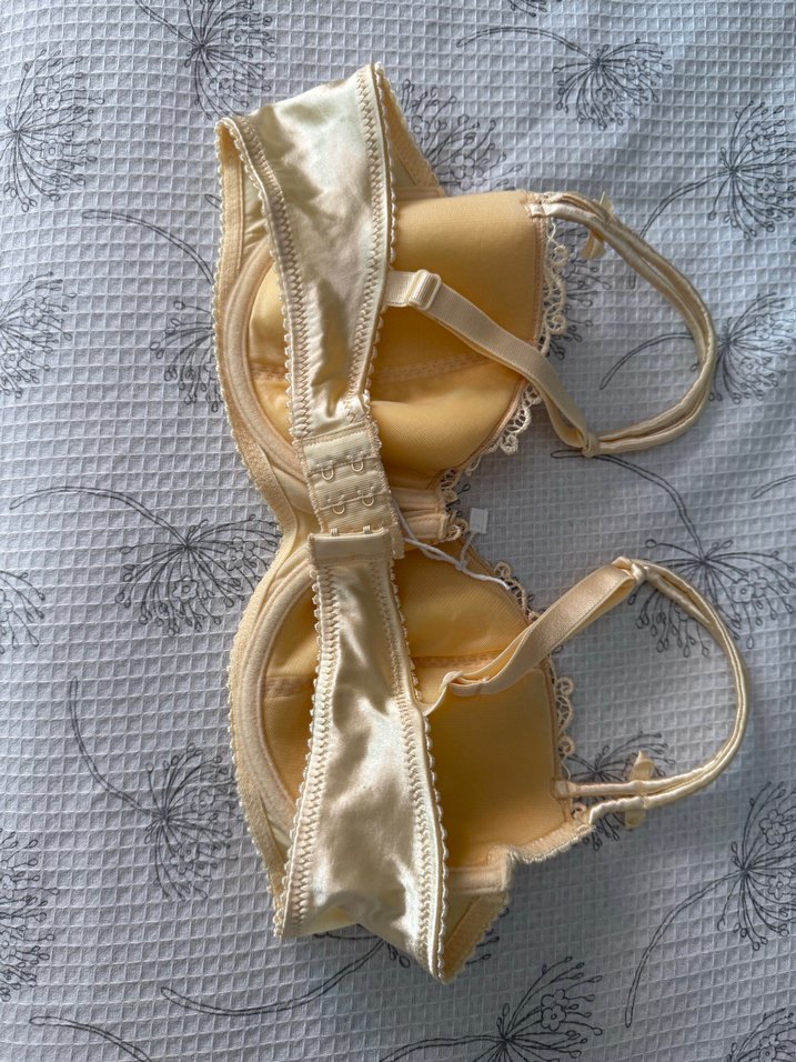 Nakış Detaylı setenBej Vintage Sütyen - Görsel 2