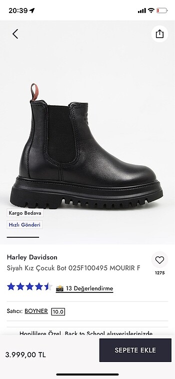 34 Beden Harley bot
