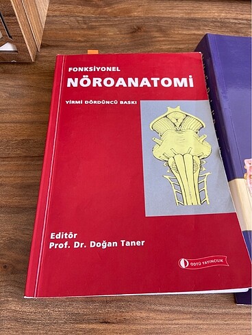 Nöroanatomi