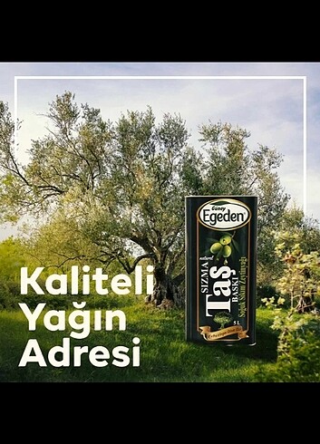 Soğuk sıkım Sızma zeytinyağı