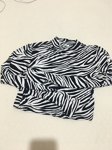 Diğer Zebra desenli