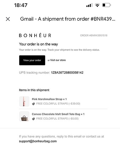 Orjinal bonheur bag (küçük boy) - Görsel 7