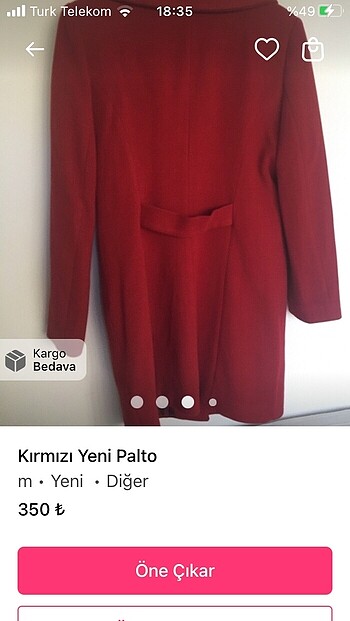 Palto - Görsel 4