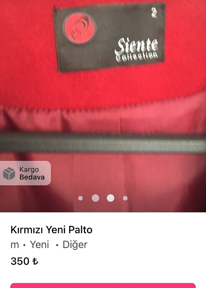Palto - Görsel 2