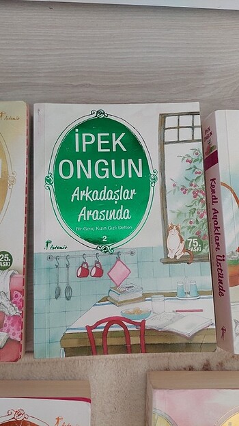  Beden ipek ongun bir genç kızın gizli defteri serisi 1-2-3-4-6 