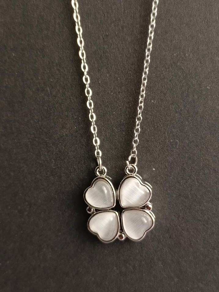 mıknatıslı kolye Stainless Steel - Görsel 2