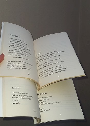 Deni Adler Topuzoğlu Şiir Kitapları Seti - Görsel 6