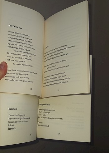 Deni Adler Topuzoğlu Şiir Kitapları Seti - Görsel 4
