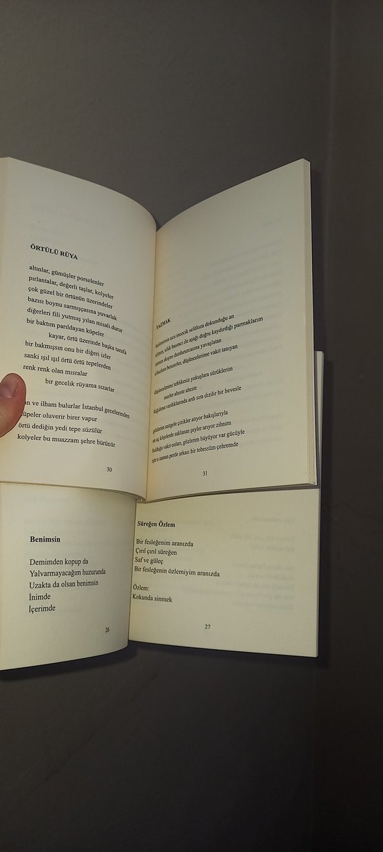 Deni Adler Topuzoğlu Şiir Kitapları Seti - Görsel 4