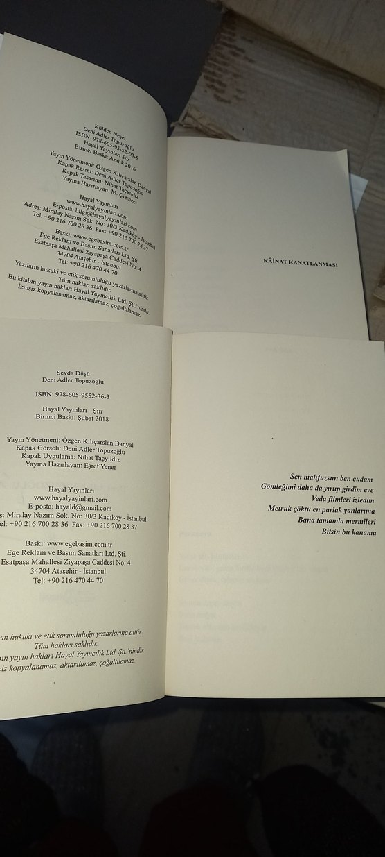 Deni Adler Topuzoğlu Şiir Kitapları Seti - Görsel 2