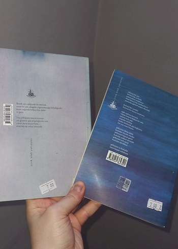 Bir, İki, Üç Gökkuşağı ve Yalnızlık Üzerine Şiir Kitapları - Görsel 6