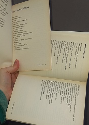 Bir, İki, Üç Gökkuşağı ve Yalnızlık Üzerine Şiir Kitapları - Görsel 4