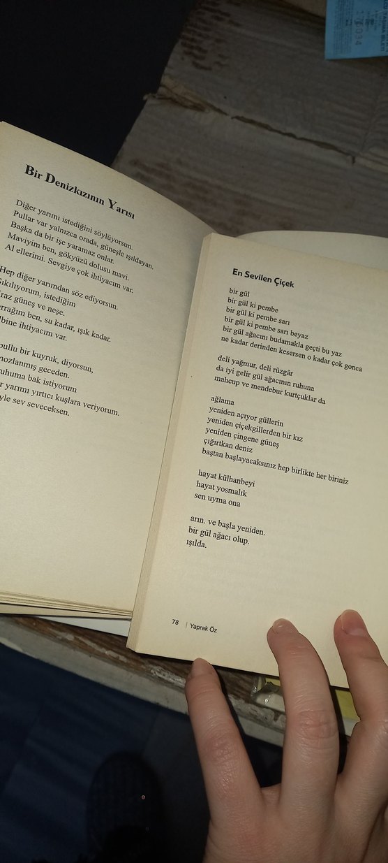 Bir, İki, Üç Gökkuşağı ve Yalnızlık Üzerine Şiir Kitapları - Görsel 5