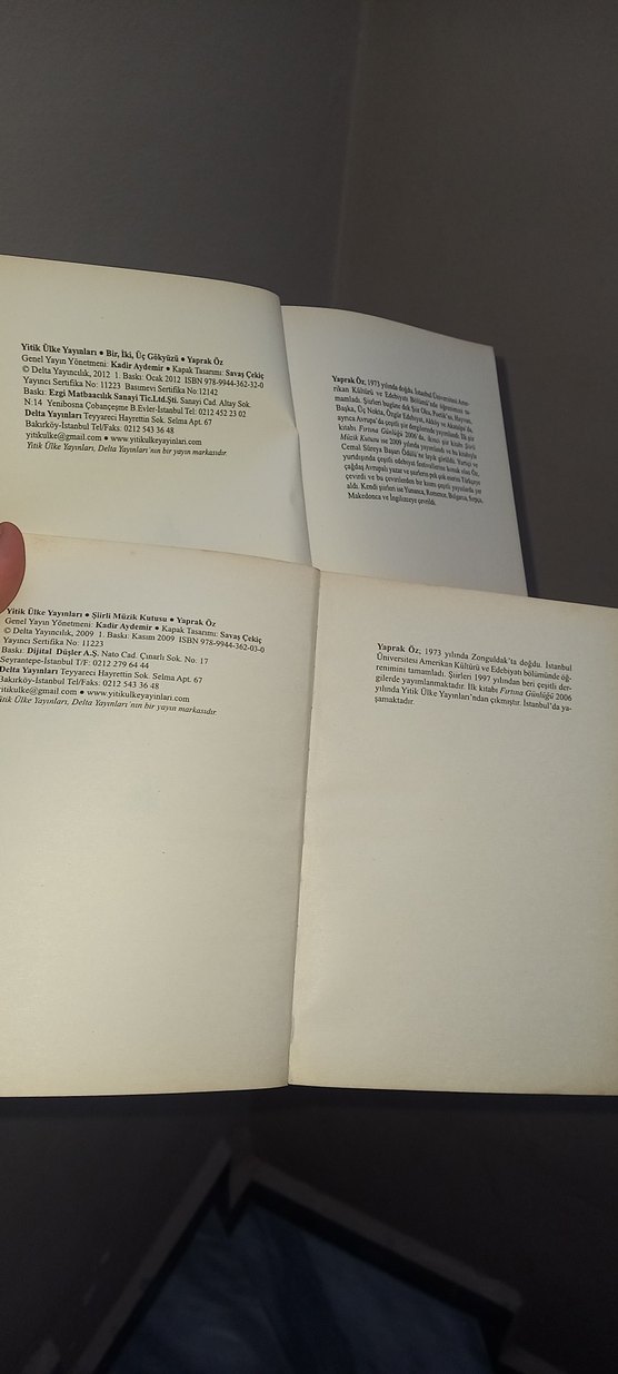 Bir, İki, Üç Gökkuşağı ve Yalnızlık Üzerine Şiir Kitapları - Görsel 2