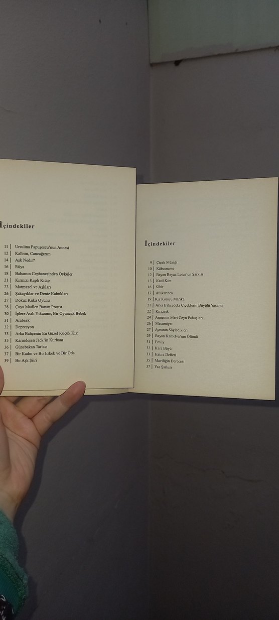 Bir, İki, Üç Gökkuşağı ve Yalnızlık Üzerine Şiir Kitapları - Görsel 3