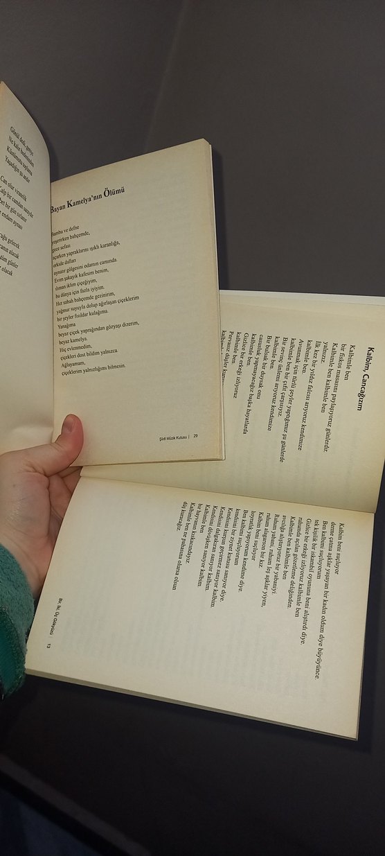 Bir, İki, Üç Gökkuşağı ve Yalnızlık Üzerine Şiir Kitapları - Görsel 4