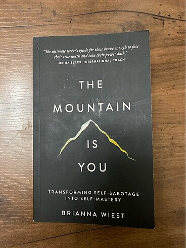 The Mountain Is You Brianna Wiest