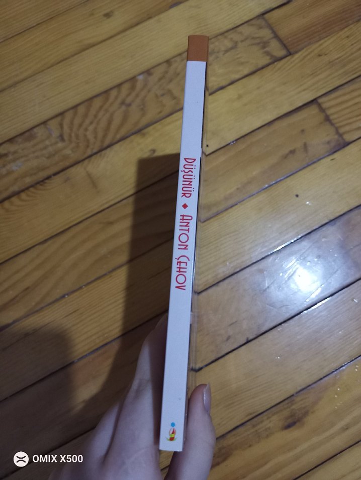 Düşünür - Anton Çehov Mizah Kitabı - Görsel 3