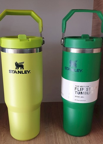 Stanley Renkli Çocuk Termos Şişesi - Görsel 4