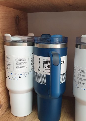 Stanley Renkli Çocuk Termos Şişesi - Görsel 9