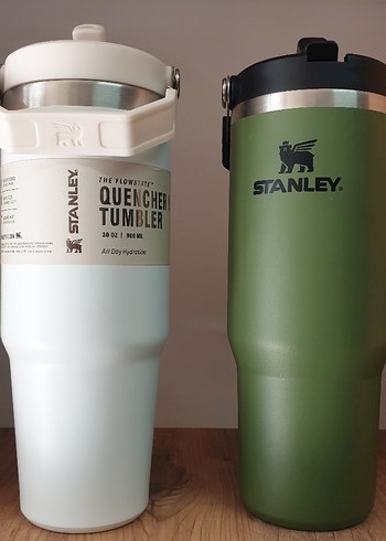 Stanley Renkli Çocuk Termos Şişesi - Görsel 5