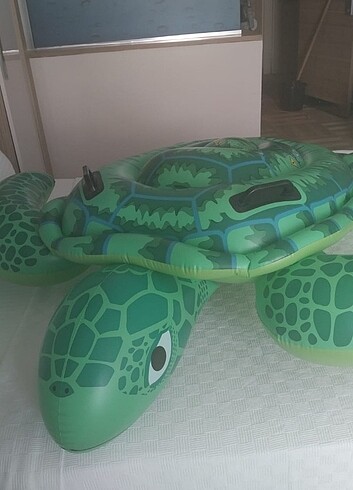 Diğer Kaplumbağa deniz yatağı 