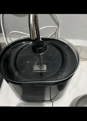 Siyah kedi sebili - Görsel 2