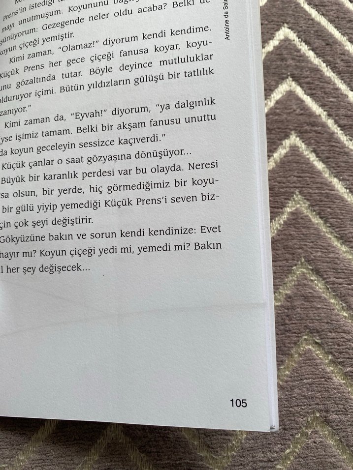 Küçük Prens - Antoine de Saint-Exupéry - Görsel 3