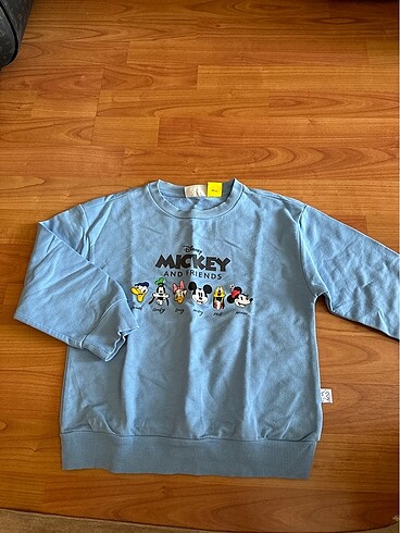 İnce sweatshirt