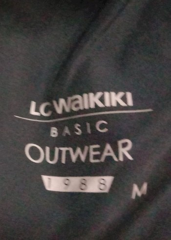 Erkek Mavi Fermuarlı İnce Mont - Görsel 3