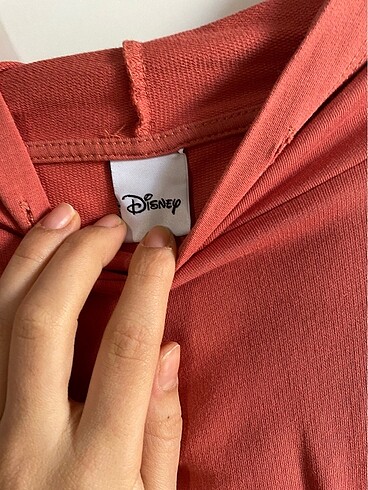 Walt Disney World ince sweat