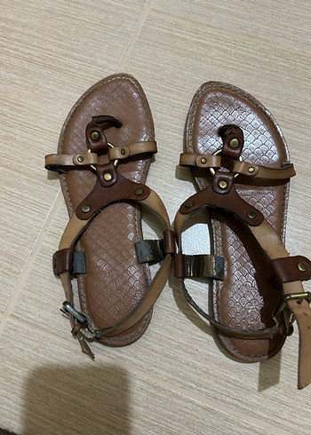Ann Taylor 36