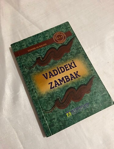 Vadideki zambak kitabı