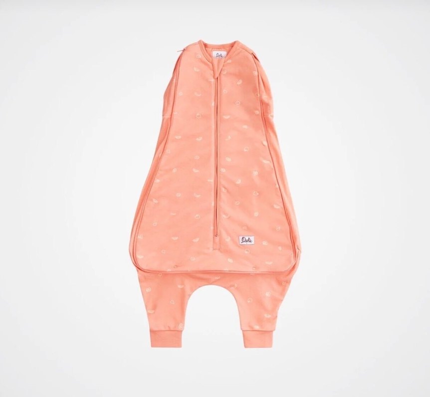 Owli uyku gurusu - Görsel 2