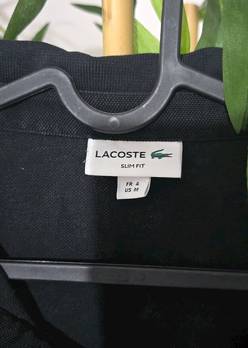 l Beden #Lacoste #kadın #orijinal