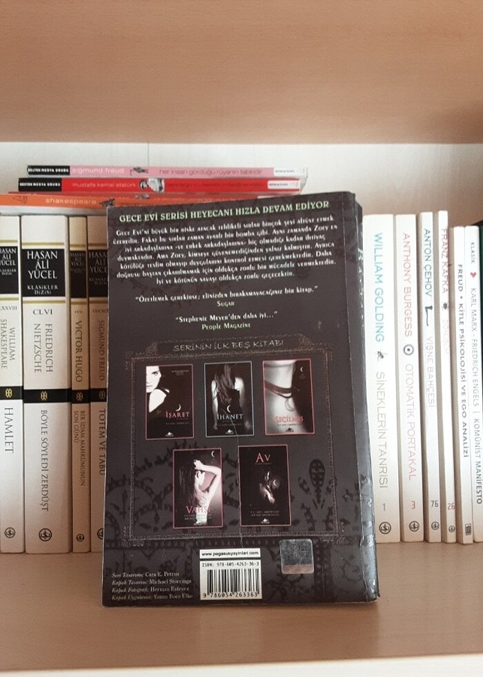 Gece evi serisi - Görsel 2